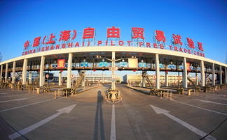 上海自贸区 四年新设企业5.2万家 这里是种苗圃不是栽盆景