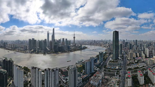 王德忠 加速上规模成体系,推进国际贸易中心提质升级
