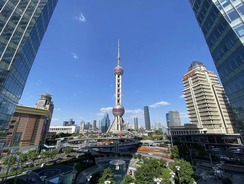 上海总部经济又添 新鲜血液