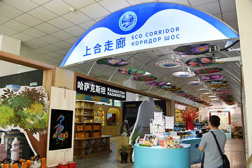 务实合作 互利共赢 中国上海合作组织地方经贸合作示范区五周年观察