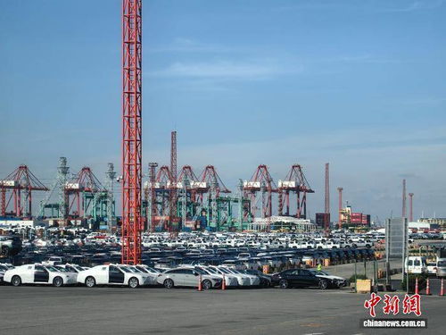 前三季度经济数据展现上海经济韧性 上海贸易稳中提质彰显开放活力